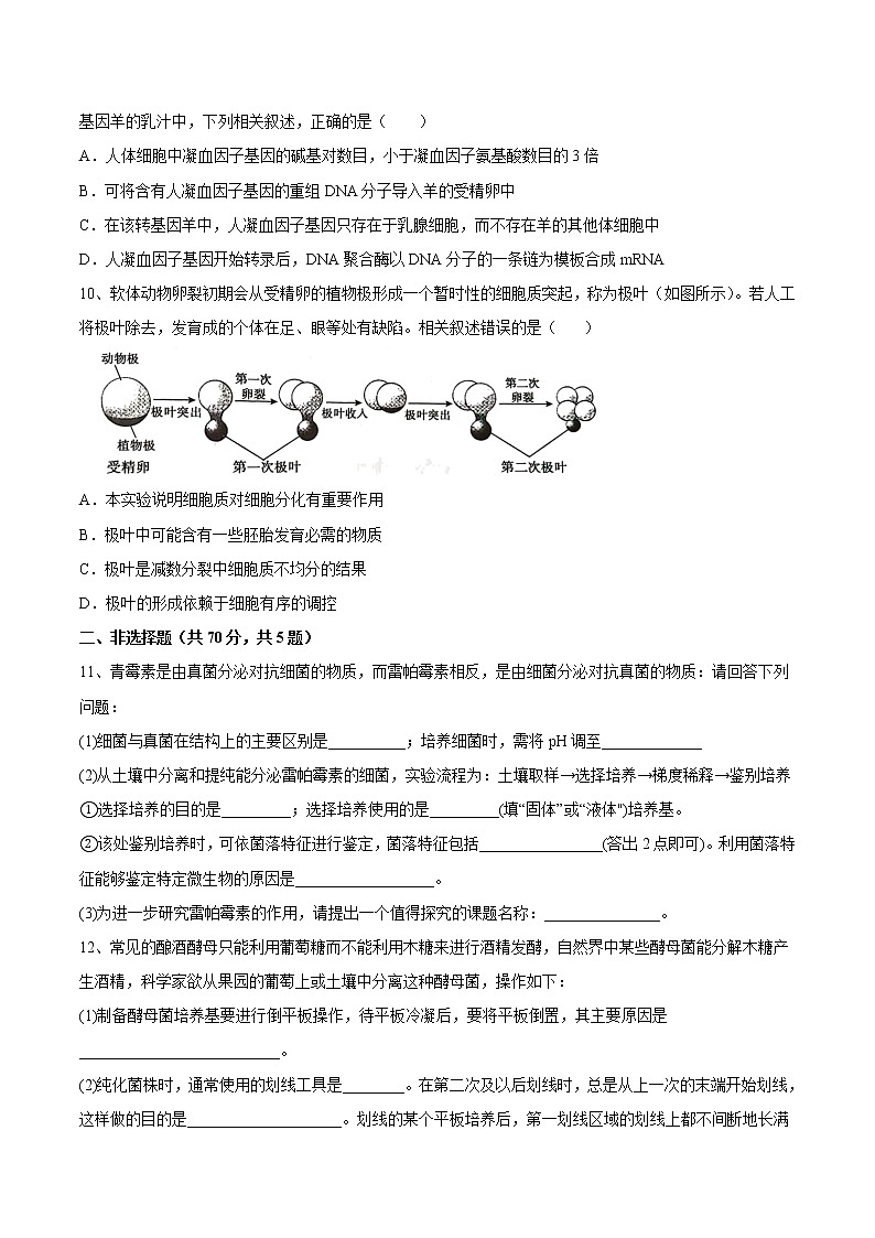 期末测试卷（基础卷）-【章末分层卷】2022-2023学年高二生物同步测试卷（人教版2019选择性必修3）（原卷版）第3页