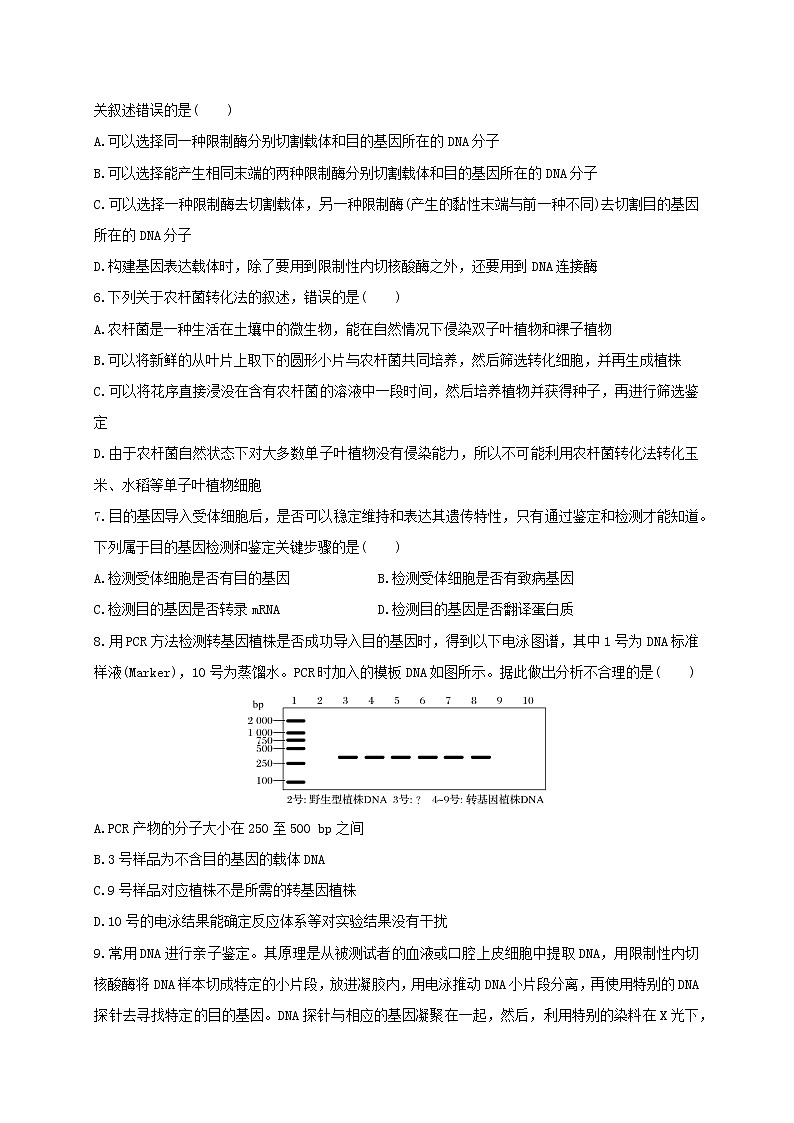 第三单元 基因工程（基础过关） 高二生物单元测试定心卷（人教版2019选择性必修3）02