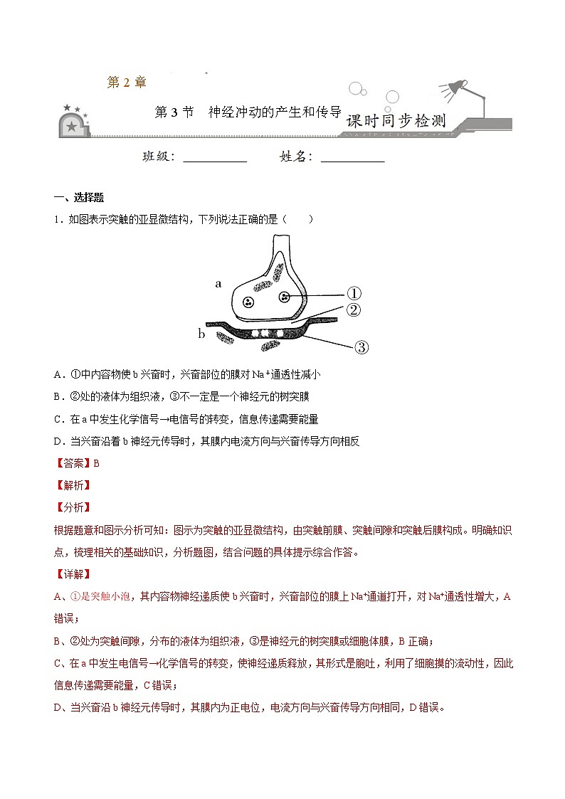 2.3 神经冲动的产生和传导-2022-2023学年高二上学期课时同步练（2019人教版选择性必修1）（解析版）第1页