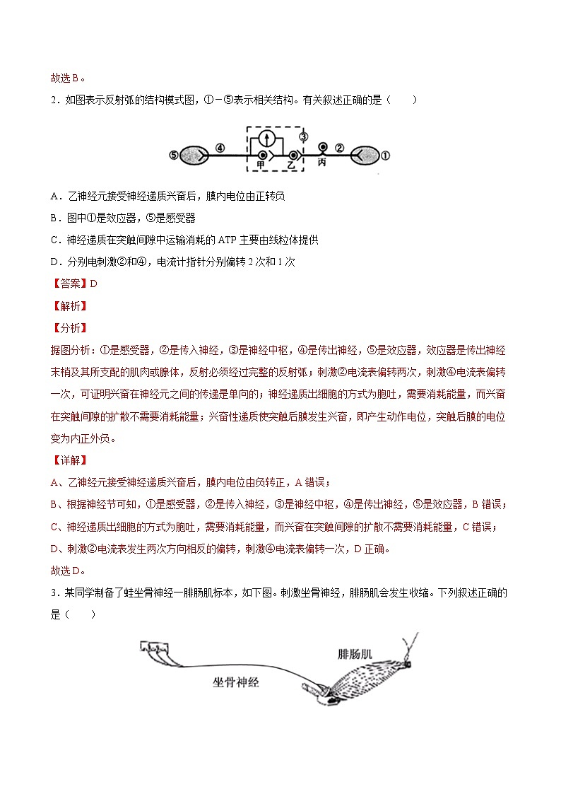 2.3 神经冲动的产生和传导-2022-2023学年高二上学期课时同步练（2019人教版选择性必修1）（解析版）第2页