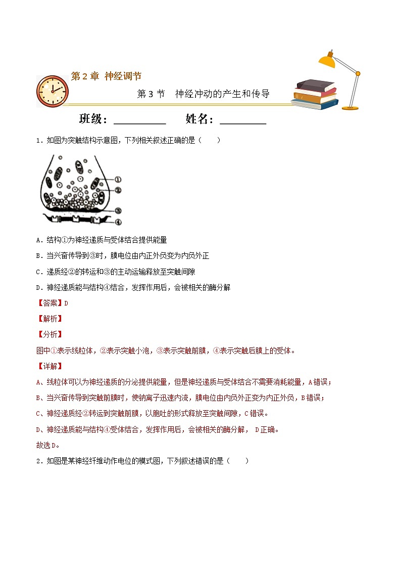 2.3+神经冲动的产生和传导+（重点练）-2022-2023学年高二生物上学期十分钟同步课堂专练（2019人教版选择性必修1）01