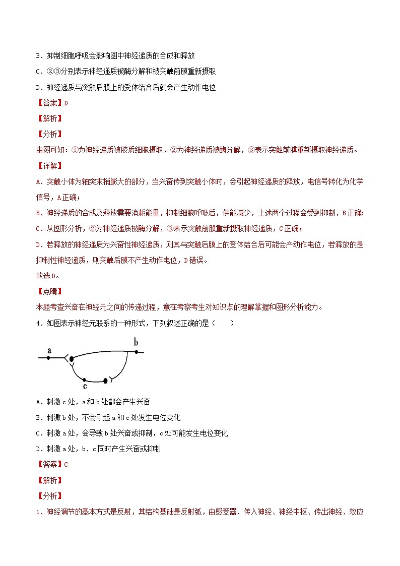 2.3+神经冲动的产生和传导+（重点练）-2022-2023学年高二生物上学期十分钟同步课堂专练（2019人教版选择性必修1）03