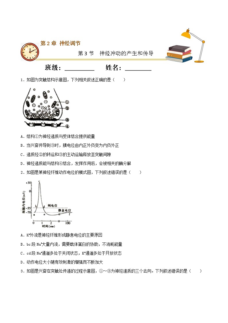 2.3+神经冲动的产生和传导+（重点练）-2022-2023学年高二生物上学期十分钟同步课堂专练（2019人教版选择性必修1）01