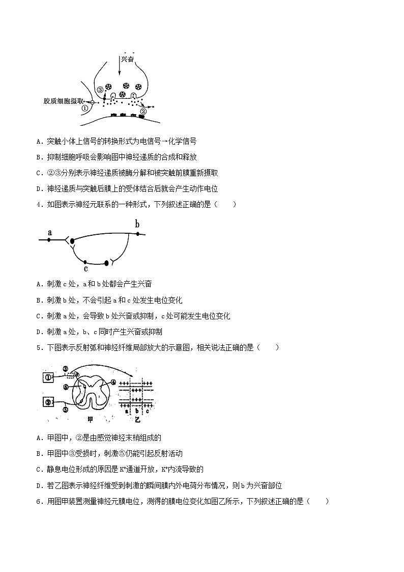 2.3+神经冲动的产生和传导+（重点练）-2022-2023学年高二生物上学期十分钟同步课堂专练（2019人教版选择性必修1）02