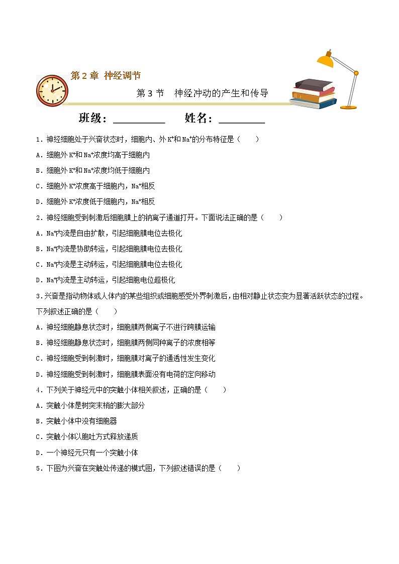 2.3 神经冲动的产生和传导 （基础练）-2022-2023学年高二生物上学期十分钟同步课堂专练（2019人教版选择性必修1）（原卷版）第1页