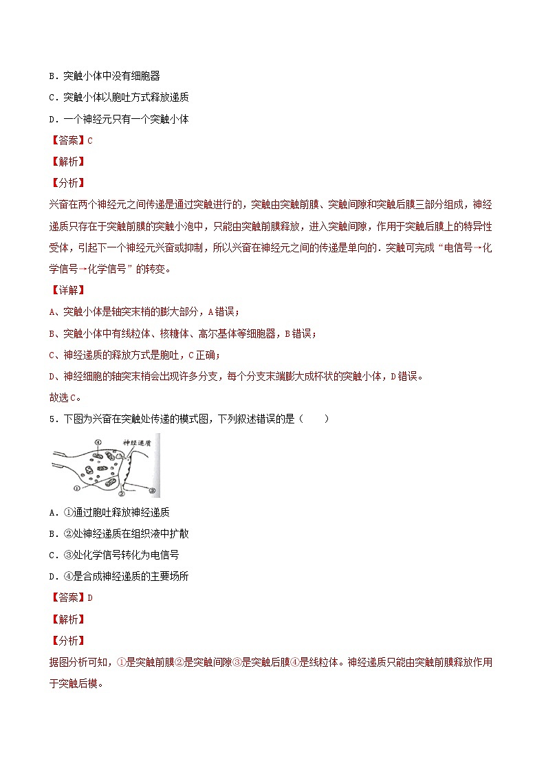 2.3 神经冲动的产生和传导 （基础练）-2022-2023学年高二生物上学期十分钟同步课堂专练（2019人教版选择性必修1）（解析版）第3页