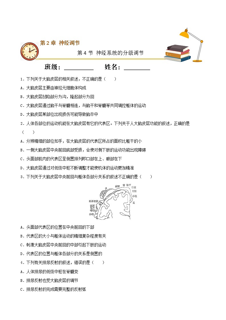 2.4+神经系统的分级调节（基础练）-2022-2023学年高二生物上学期十分钟同步课堂专练（2019人教版选择性必修1）01