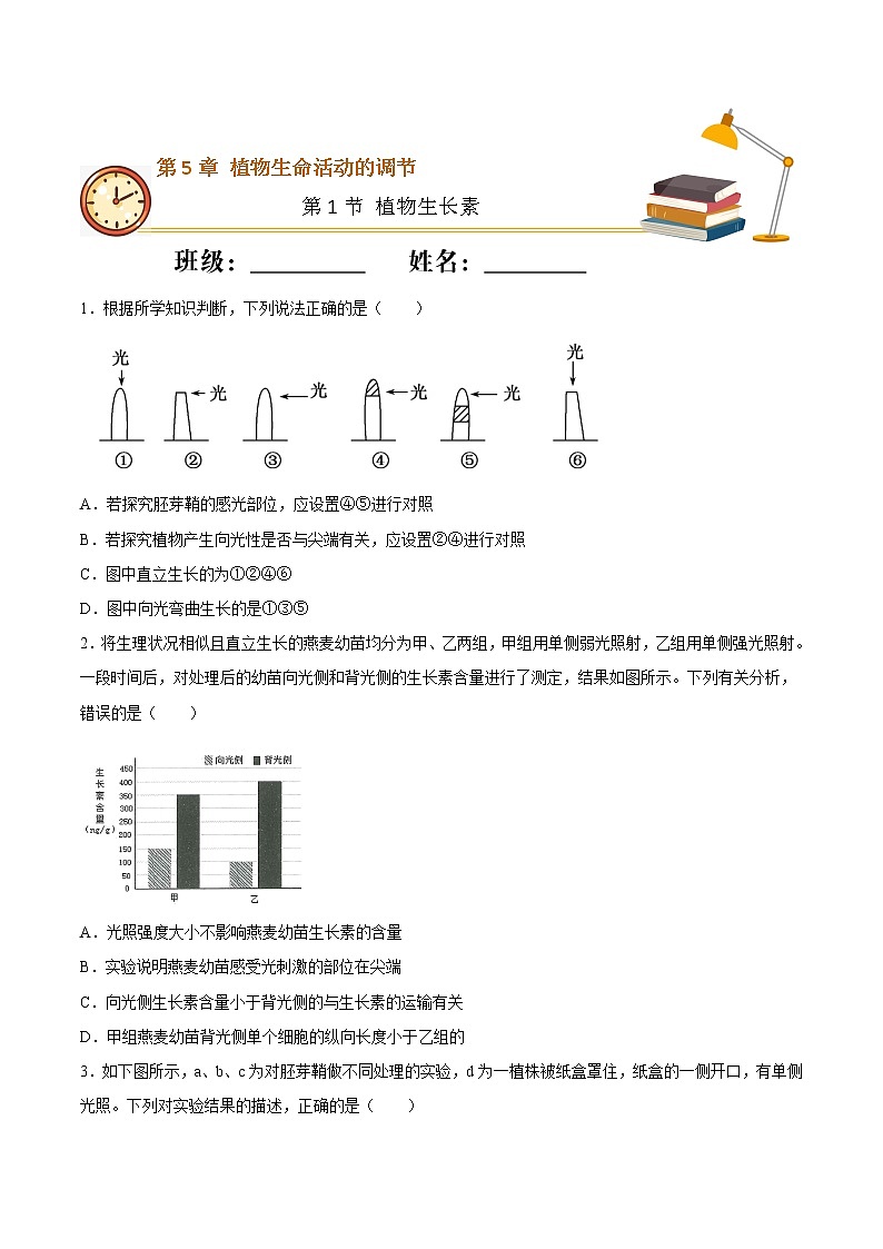 5.1+植物生长素（基础练）-2022-2023学年高二生物上学期十分钟同步课堂专练（2019人教版选择性必修1）01