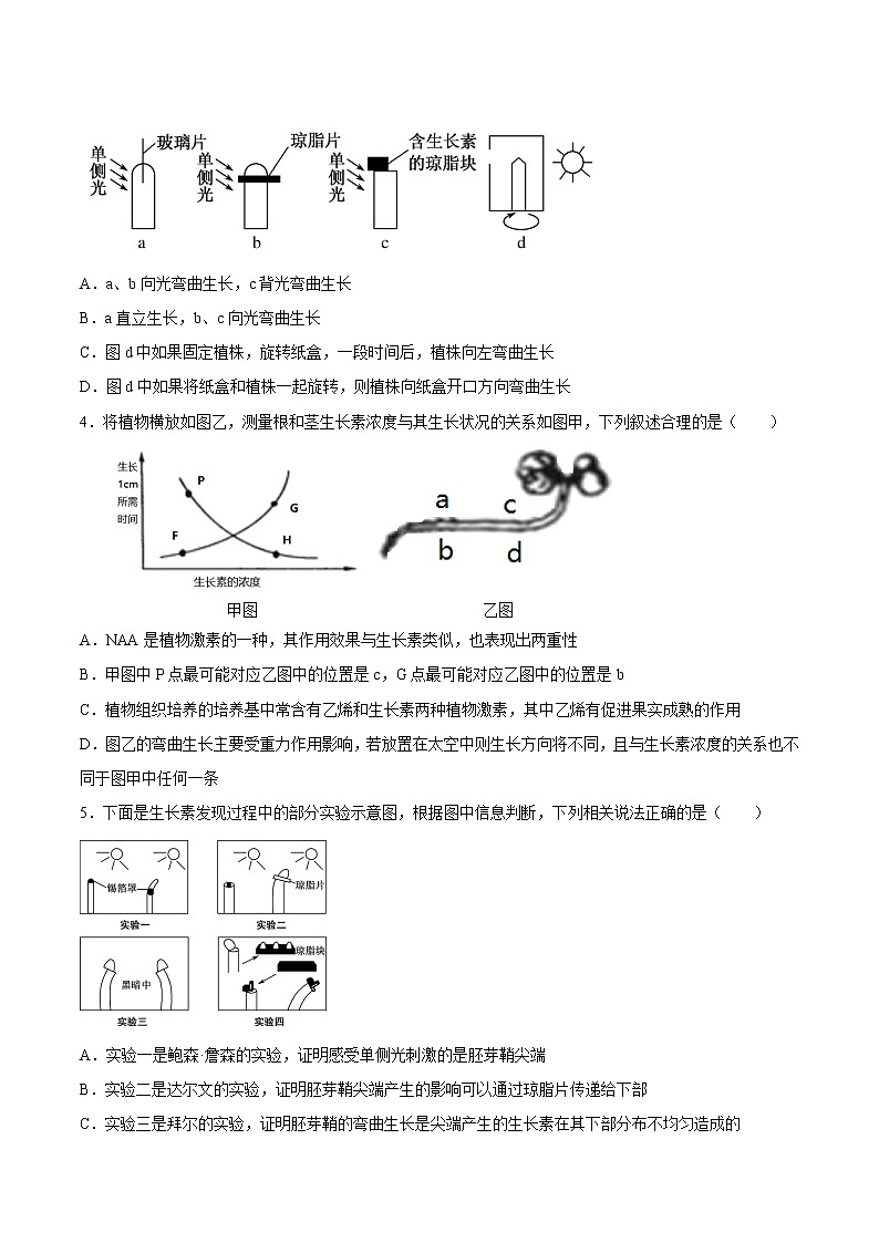 5.1+植物生长素（基础练）-2022-2023学年高二生物上学期十分钟同步课堂专练（2019人教版选择性必修1）02