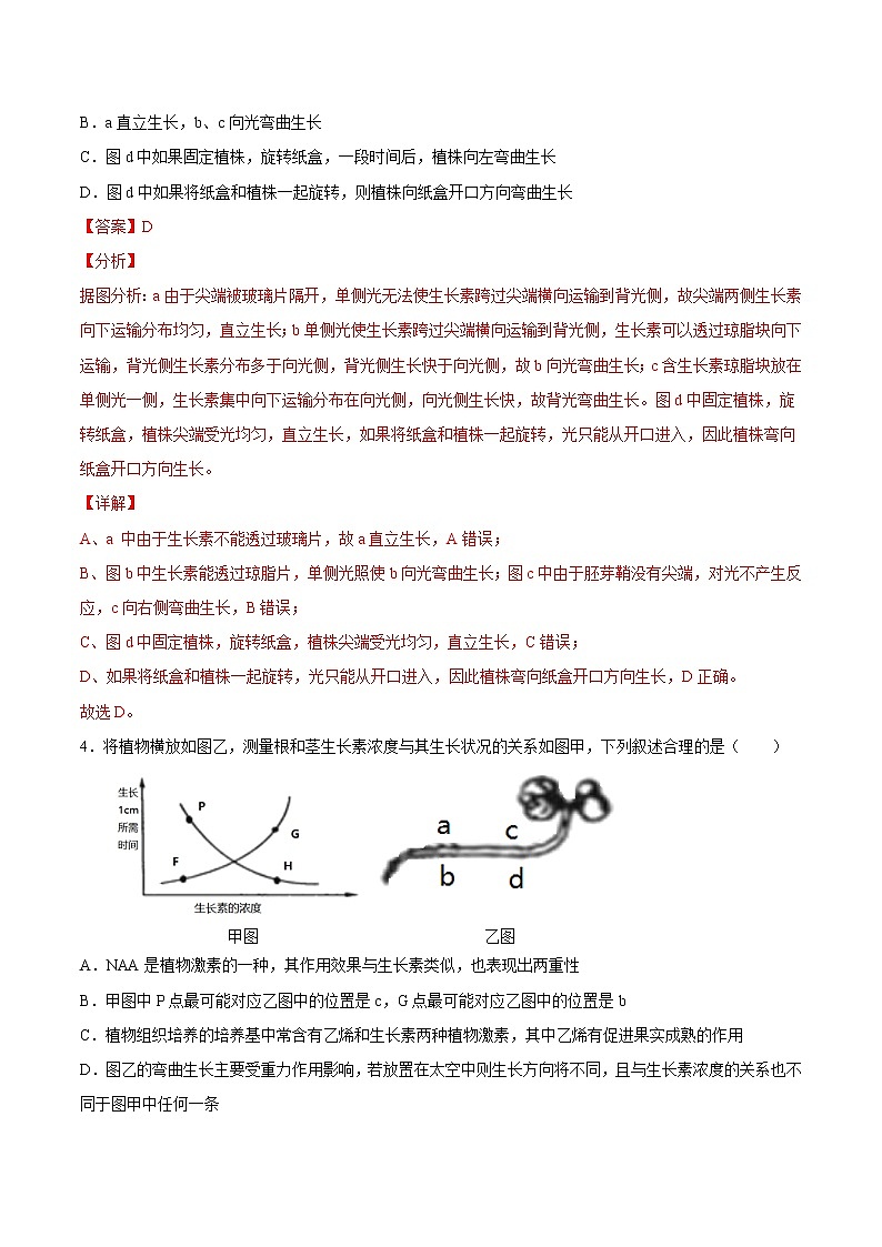 5.1+植物生长素（基础练）-2022-2023学年高二生物上学期十分钟同步课堂专练（2019人教版选择性必修1）03
