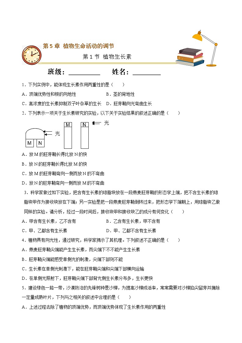 5.1+植物生长素（重点练）-2022-2023学年高二生物上学期十分钟同步课堂专练（2019人教版选择性必修1）01