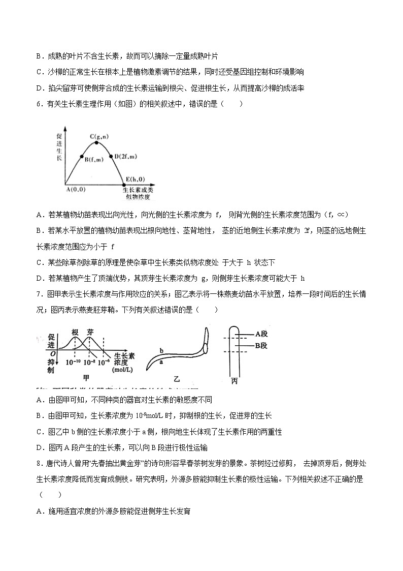 5.1+植物生长素（重点练）-2022-2023学年高二生物上学期十分钟同步课堂专练（2019人教版选择性必修1）02