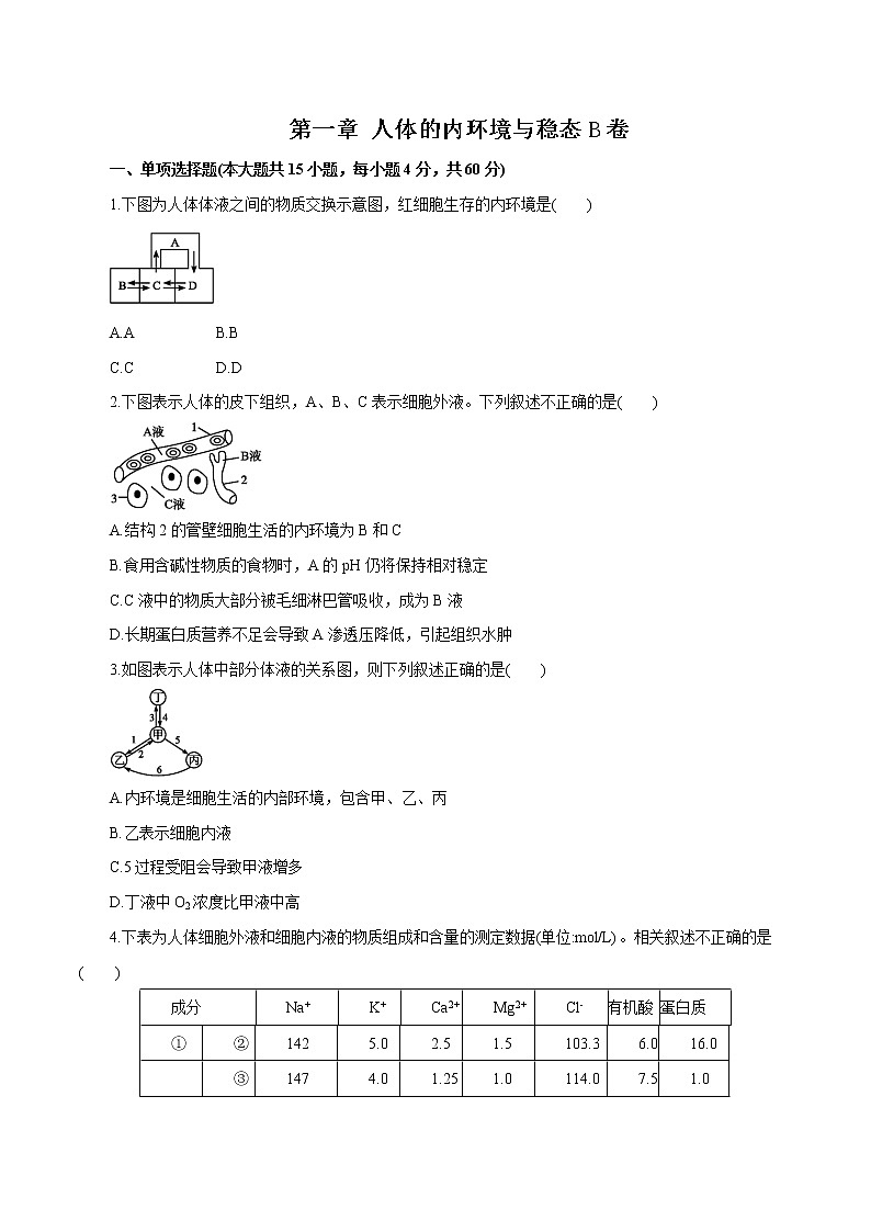 第1章+人体的内环境与稳态B卷-2022-2023学年高二生物学同步单元AB卷（2019人教版选择性必修1）01