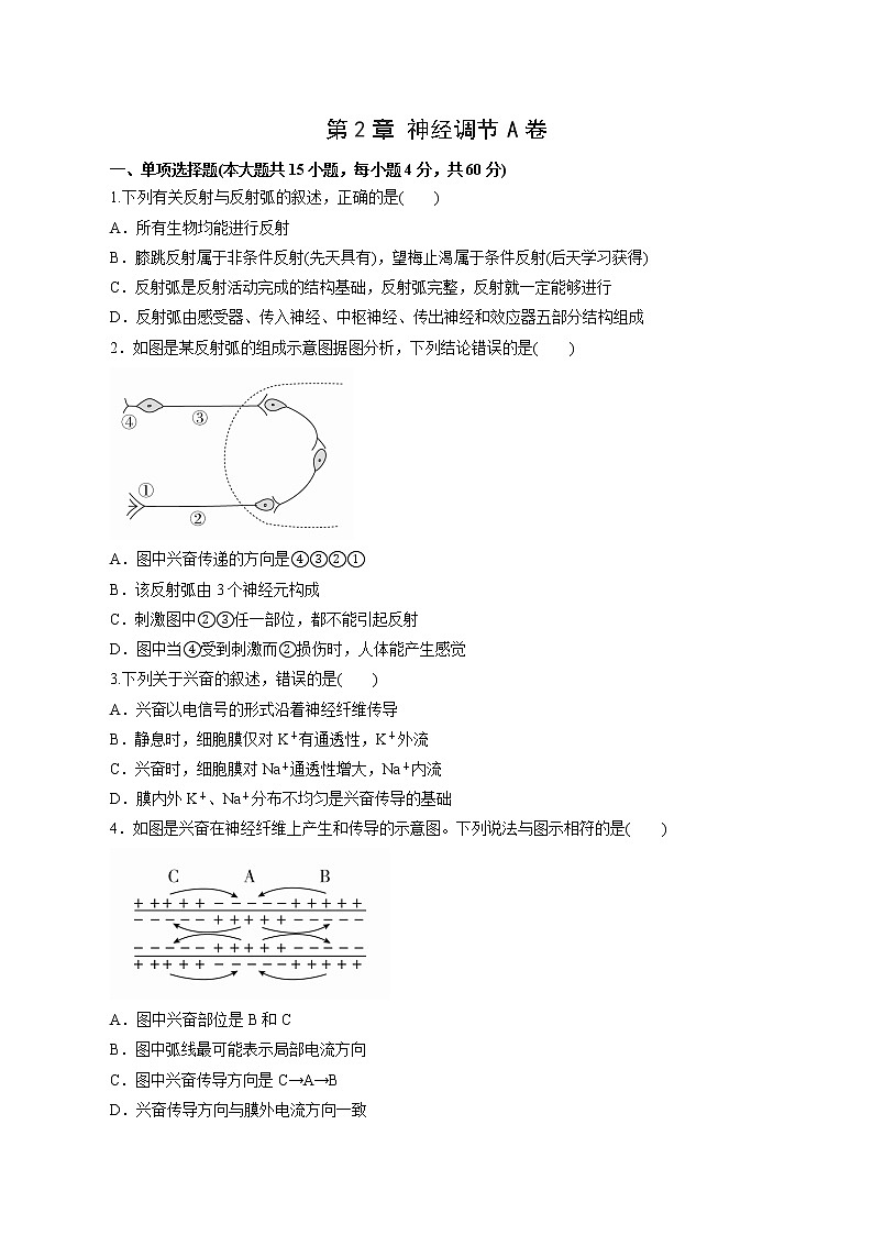 第2章+神经调节A卷-2022-2023学年高二生物学同步单元AB卷（2019人教版选择性必修1）01