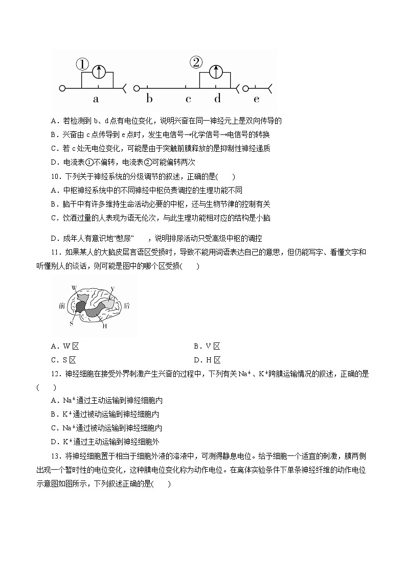 第2章+神经调节A卷-2022-2023学年高二生物学同步单元AB卷（2019人教版选择性必修1）03