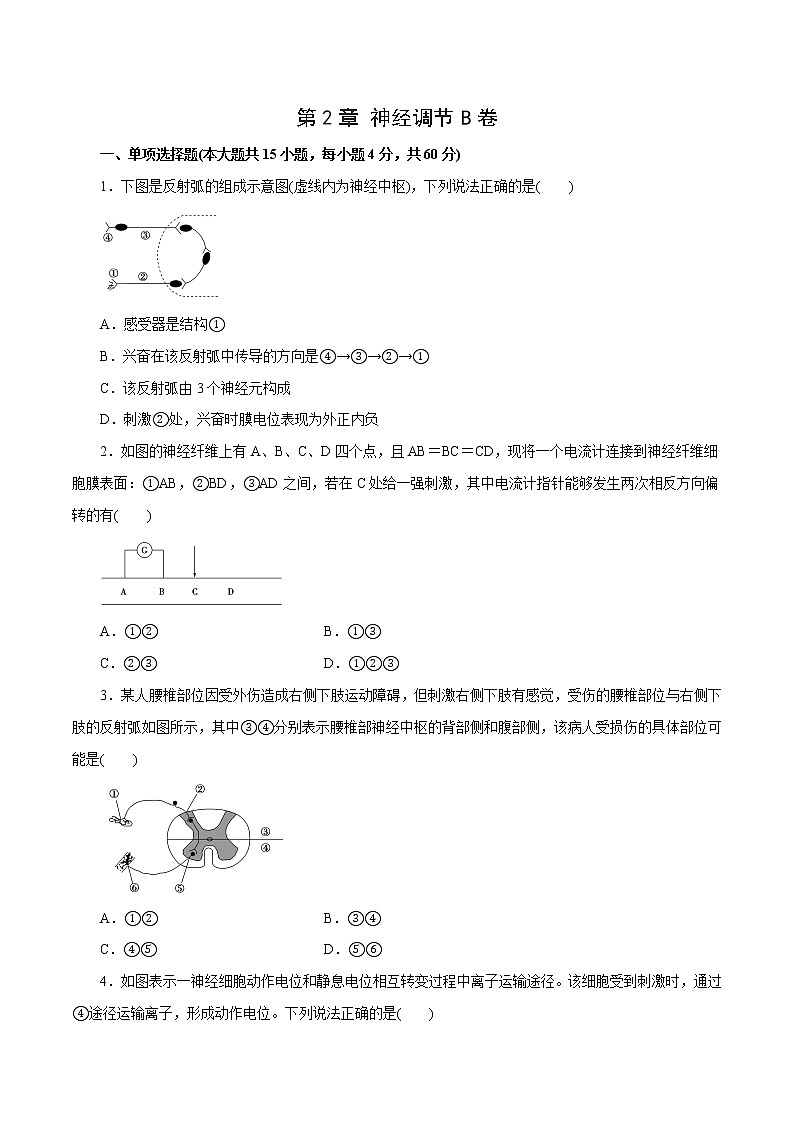 第2章+神经调节B卷-2022-2023学年高二生物学同步单元AB卷（2019人教版选择性必修1）01