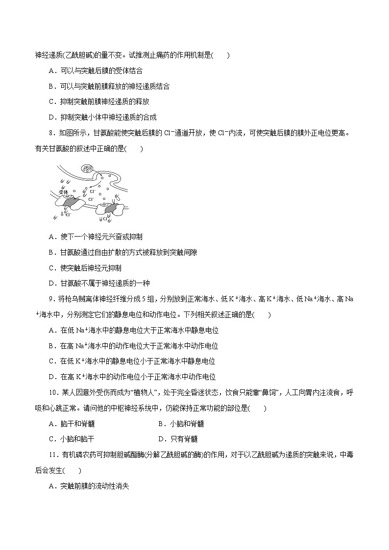 第2章+神经调节B卷-2022-2023学年高二生物学同步单元AB卷（2019人教版选择性必修1）03
