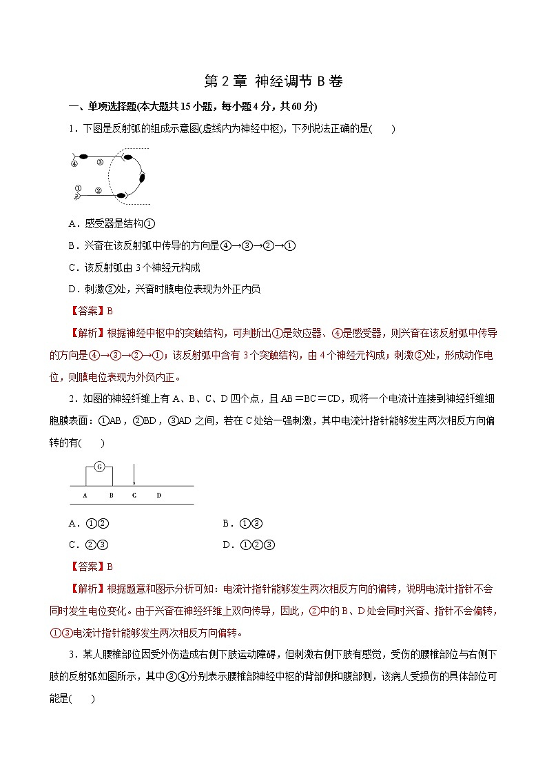 第2章+神经调节B卷-2022-2023学年高二生物学同步单元AB卷（2019人教版选择性必修1）01