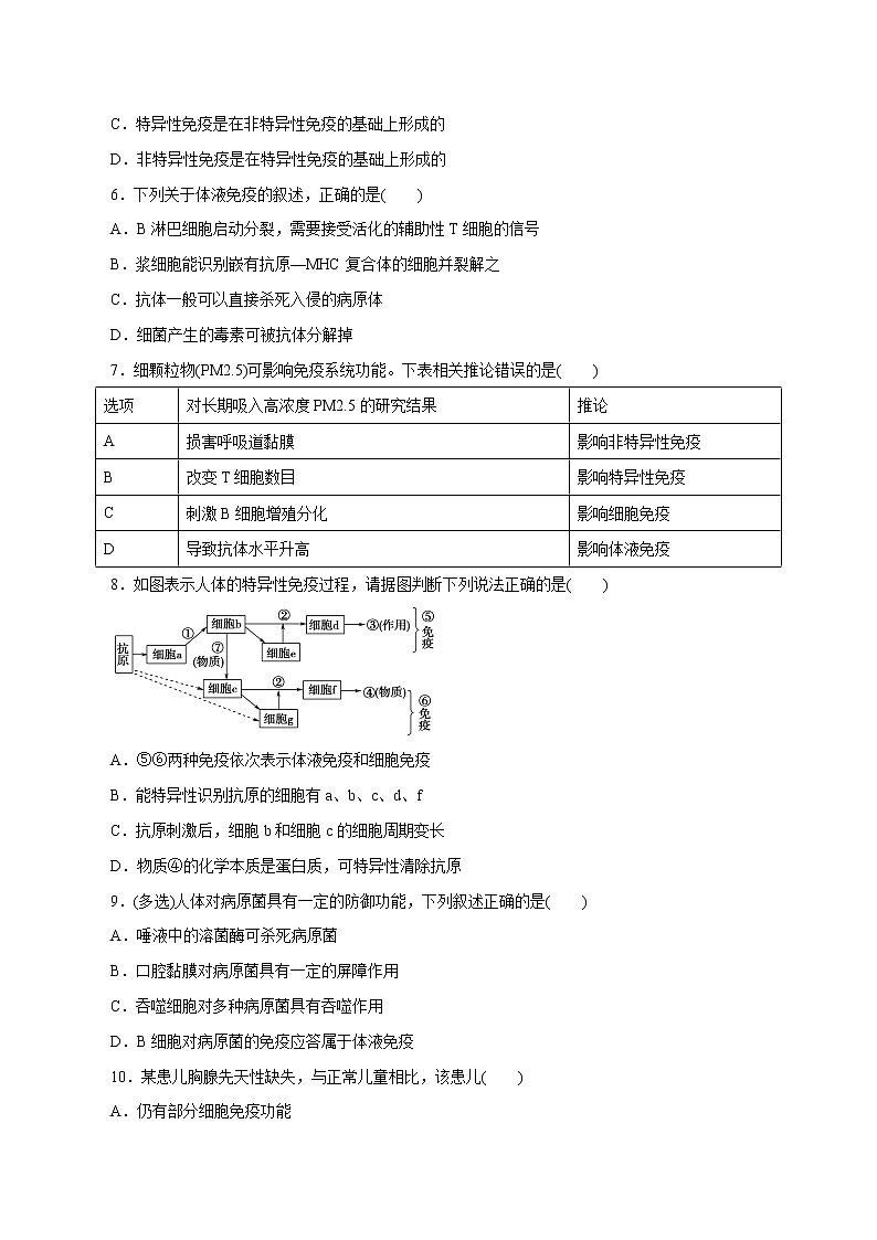 第4章+免疫调节B卷-2022-2023学年高二生物学同步单元AB卷（2019人教版选择性必修1）02