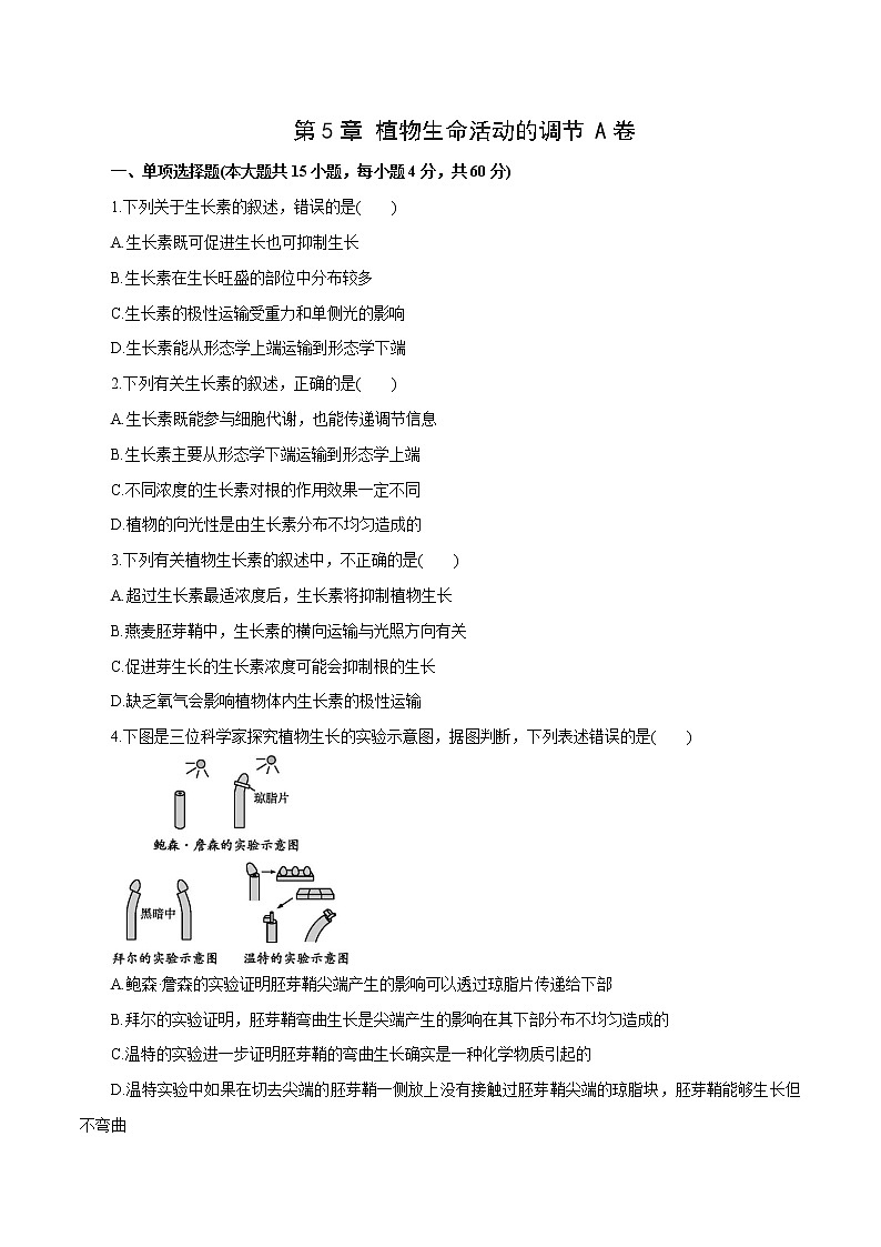 第5章+植物生命活动的调节A卷-2022-2023学年高二生物学同步单元AB卷（2019人教版选择性必修1）01