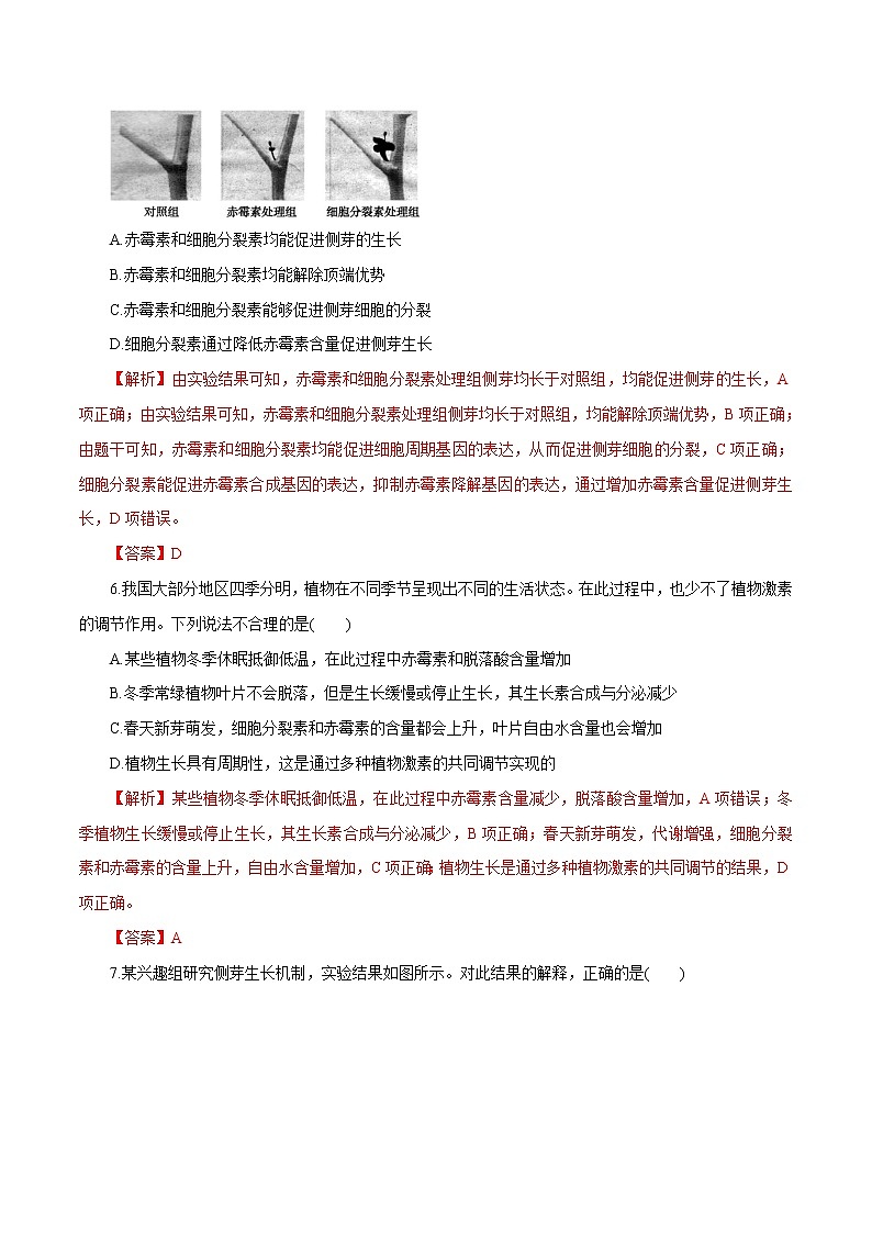 第5章+植物生命活动的调节B卷-2022-2023学年高二生物学同步单元AB卷（2019人教版选择性必修1）03