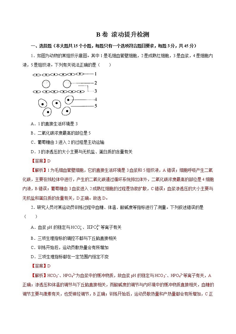 2019人教版选择性必修1期末（B卷+滚动提升检测）01