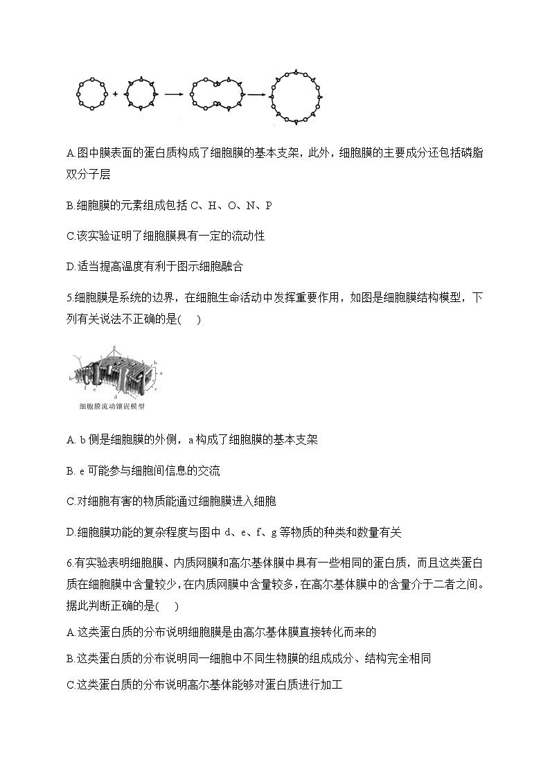 2022-2023学年人教版（2019）必修一生物单元测试AB卷 第3章 细胞的基本结构 B卷 能力提升部分有解析第2页