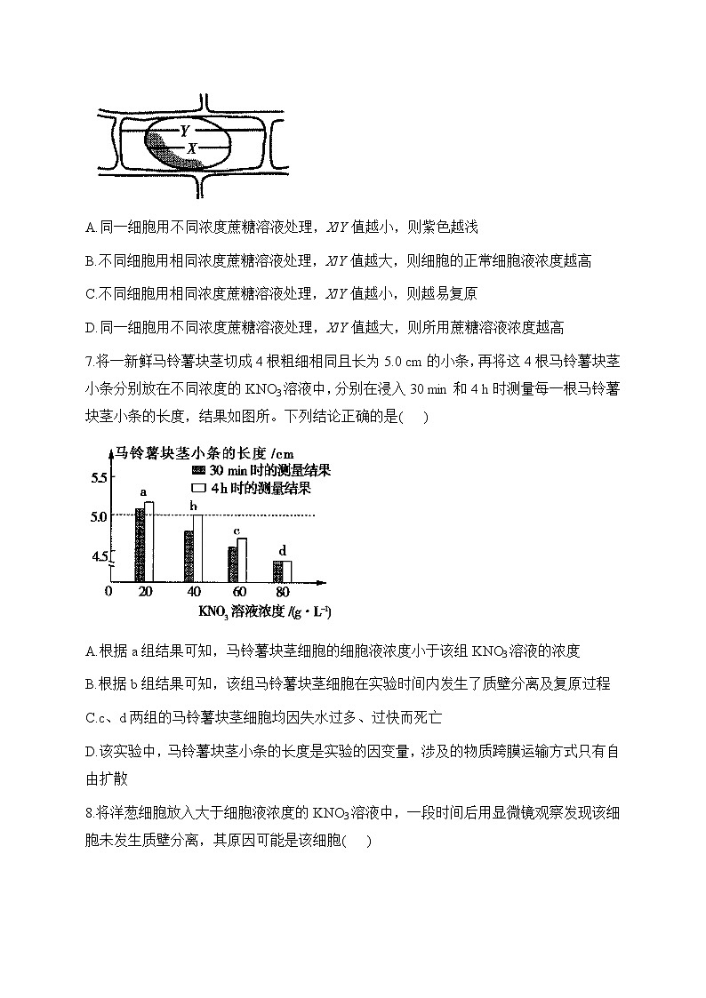 2022-2023学年人教版（2019）必修一生物单元测试AB卷 第4章 细胞的物质输入和输出 B卷 能力提升部分有解析03