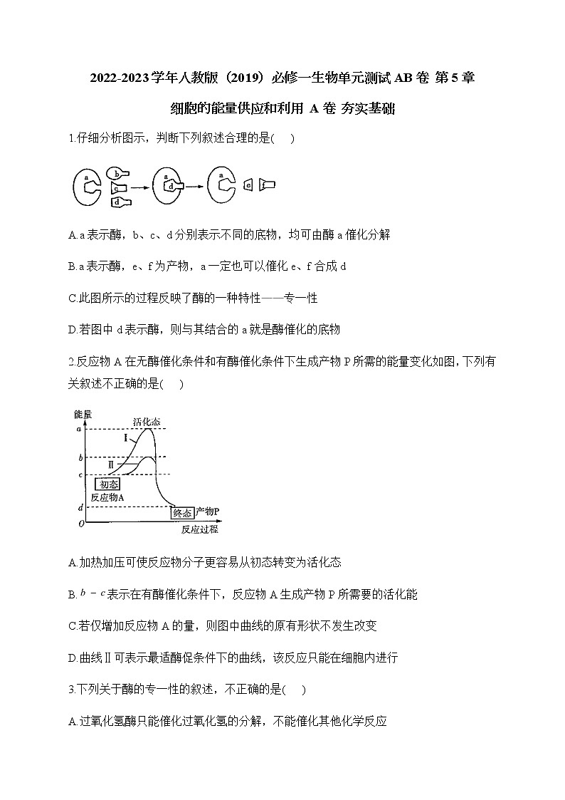 2022-2023学年人教版（2019）必修一生物单元测试AB卷 第5章 细胞的能量供应和利用 A卷 夯实基础部分有解析01