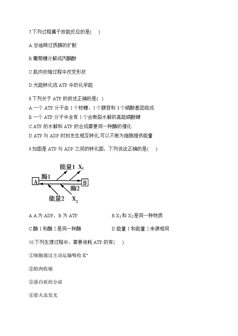 2022-2023学年人教版（2019）必修一生物单元测试AB卷 第5章 细胞的能量供应和利用 A卷 夯实基础部分有解析03
