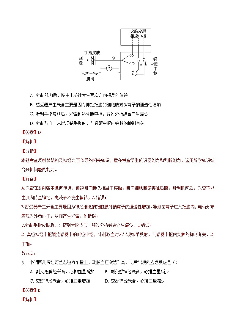 2.4 神经系统的分级调节-2022-2023学年高二生物课后培优练（人教版选择性必修1）03