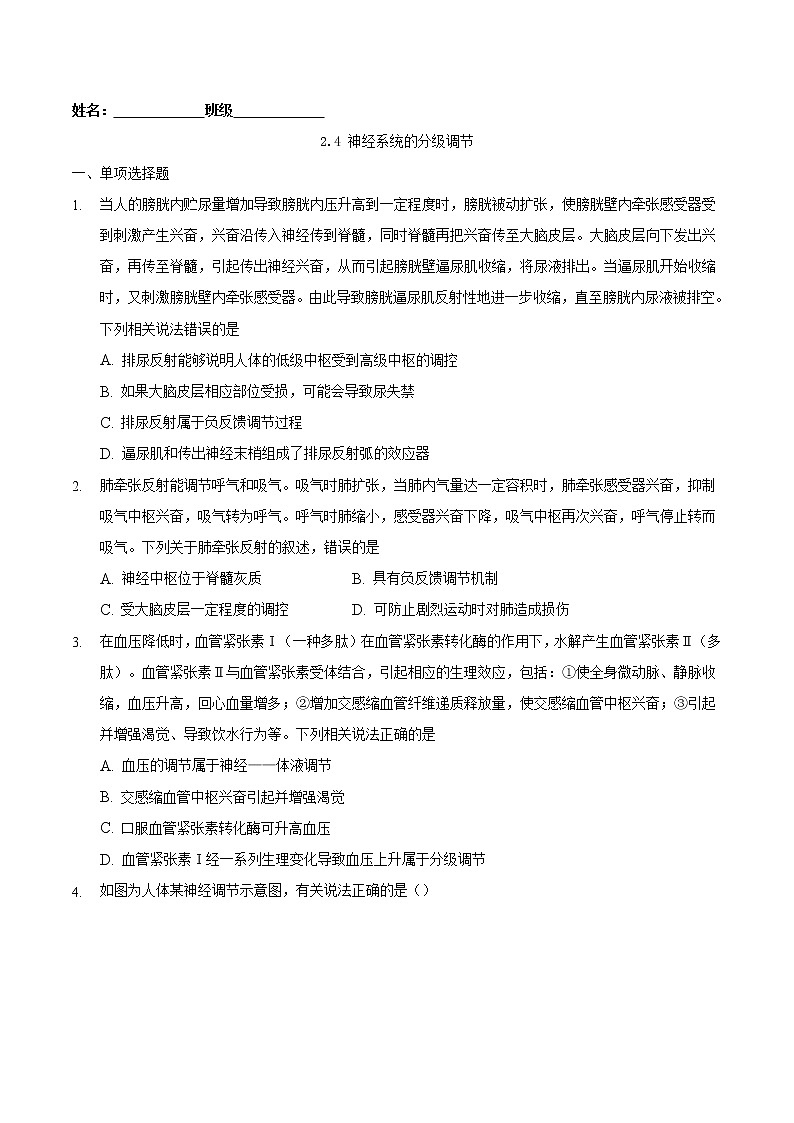 2.4 神经系统的分级调节-2022-2023学年高二生物课后培优练（人教版选择性必修1）01