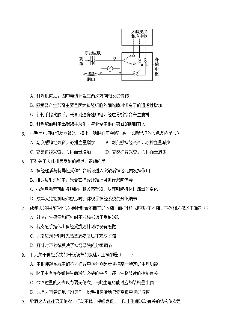 2.4 神经系统的分级调节-2022-2023学年高二生物课后培优练（人教版选择性必修1）02