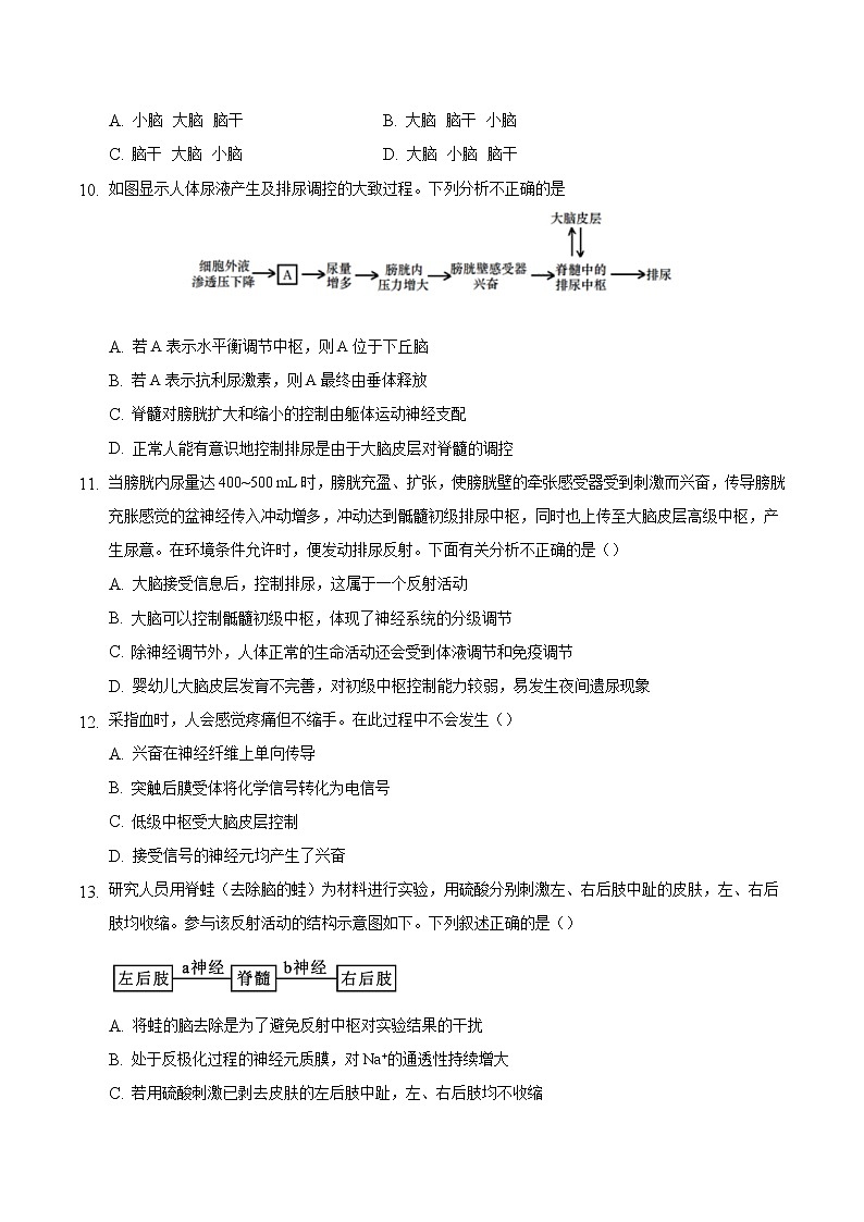 2.4 神经系统的分级调节-2022-2023学年高二生物课后培优练（人教版选择性必修1）03