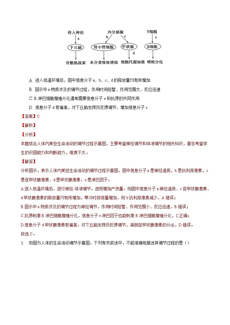 3.3 体液调节与神经调节的关系-2022-2023学年高二生物课后培优练（人教版选择性必修1）02