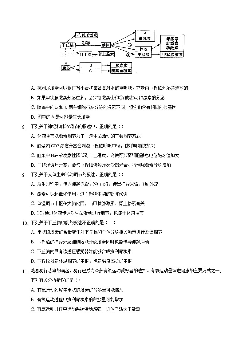 3.3 体液调节与神经调节的关系-2022-2023学年高二生物课后培优练（人教版选择性必修1）03