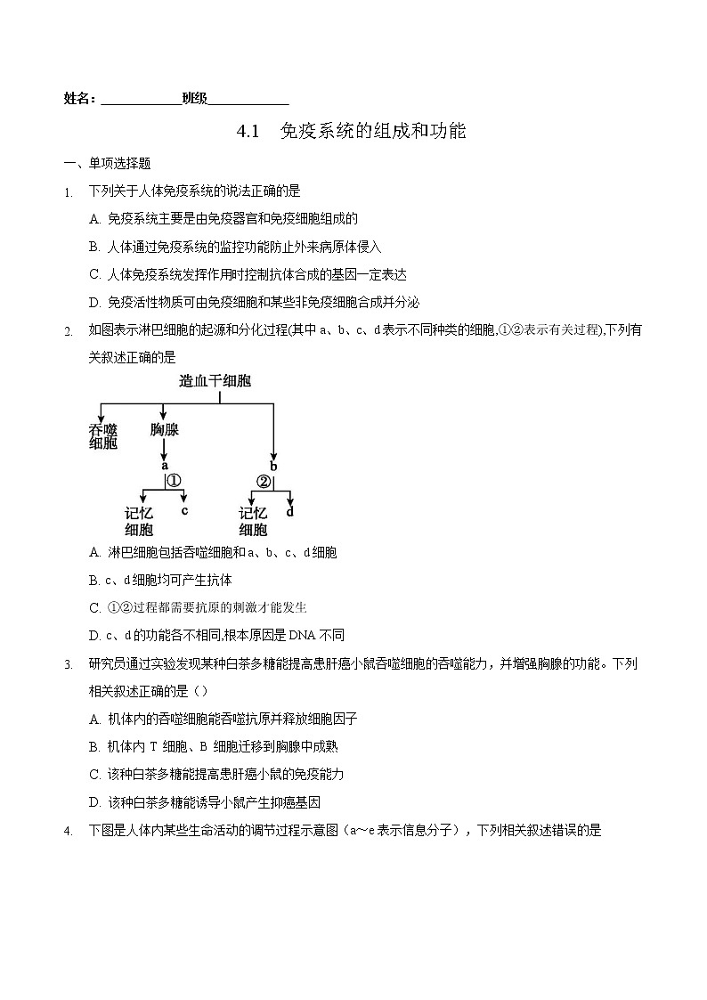 4.1 免疫系统的组成和功能-2022-2023学年高二生物课后培优练（人教版选择性必修1）01