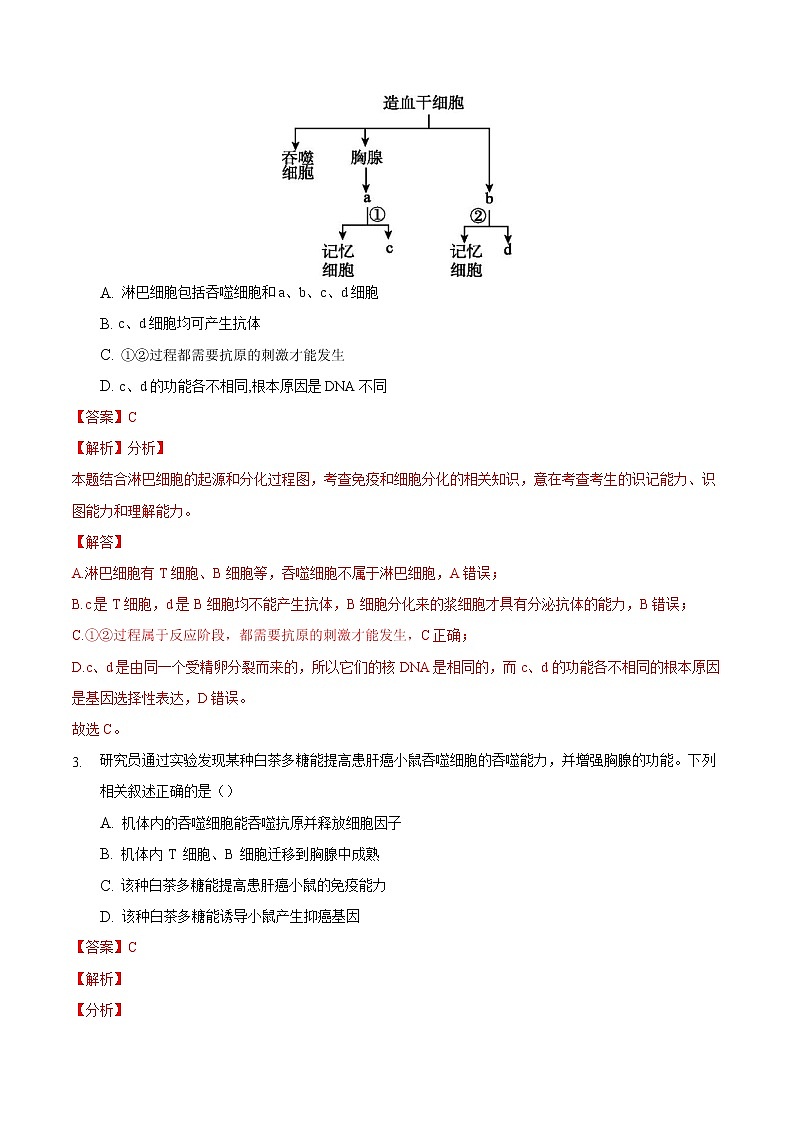 4.1 免疫系统的组成和功能-2022-2023学年高二生物课后培优练（人教版选择性必修1）02