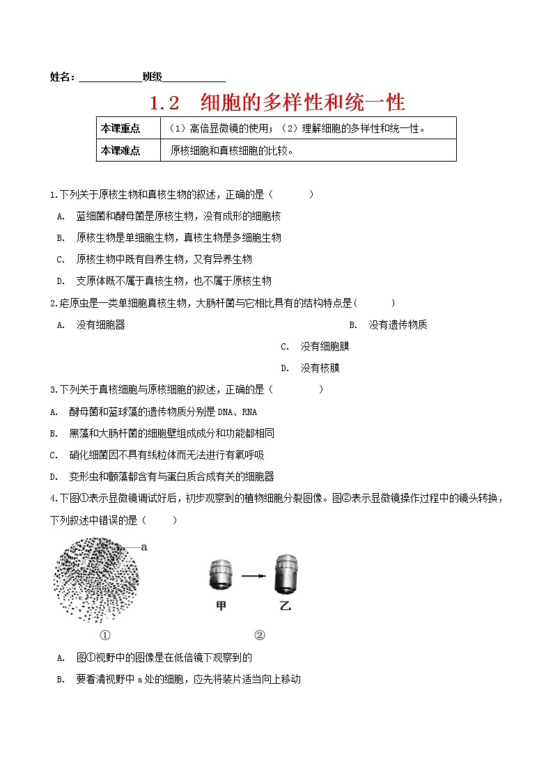 1.2  细胞的多样性和统一性-高一生物课后培优练（人教版2019必修1）01