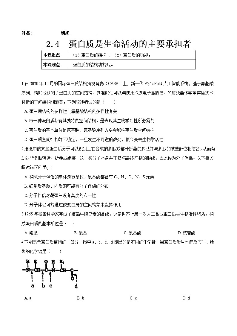 2.4  蛋白质是生命活动的主要承担者-高一生物课后培优练（人教版2019必修1）01