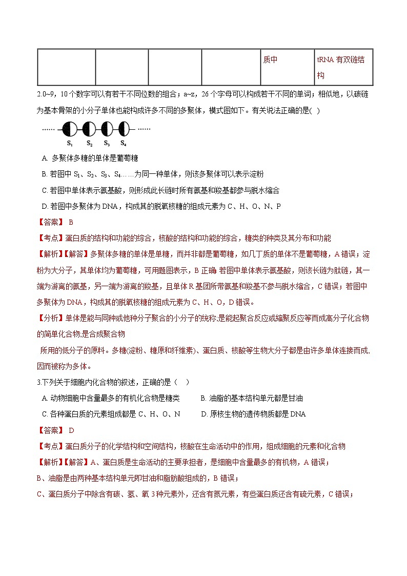 2.5  核酸是遗传信息的携带者-高一生物课后培优练（人教版2019必修1）02