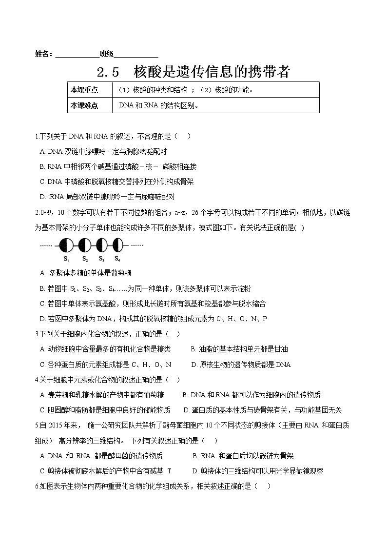2.5  核酸是遗传信息的携带者-高一生物课后培优练（人教版2019必修1）01
