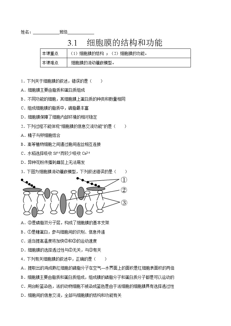 3.1  细胞膜的结构和功能-高一生物课后培优练（人教版2019必修1）01