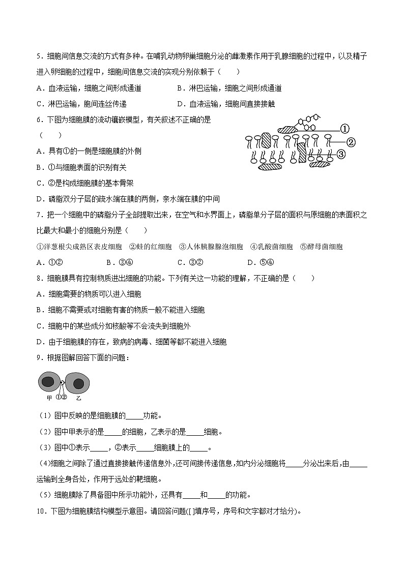 3.1  细胞膜的结构和功能-高一生物课后培优练（人教版2019必修1）02