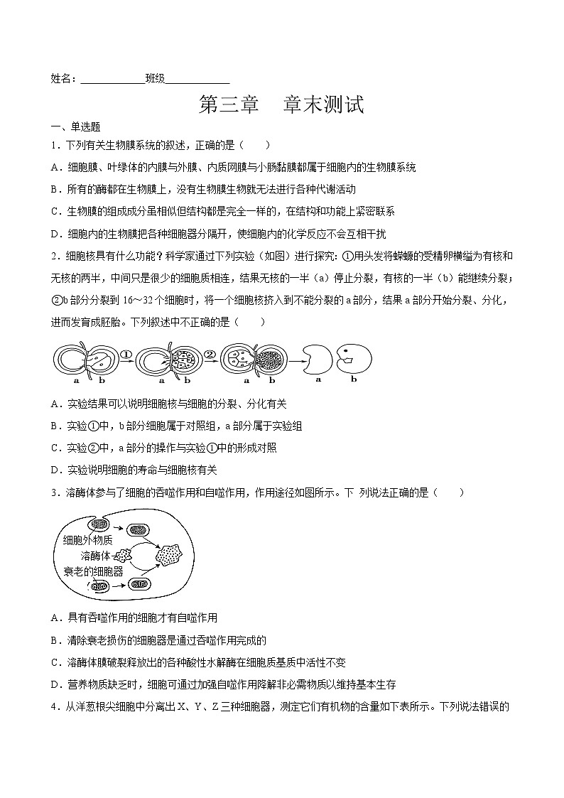 第三章  章末测试-高一生物课后培优练（人教版2019必修1）01