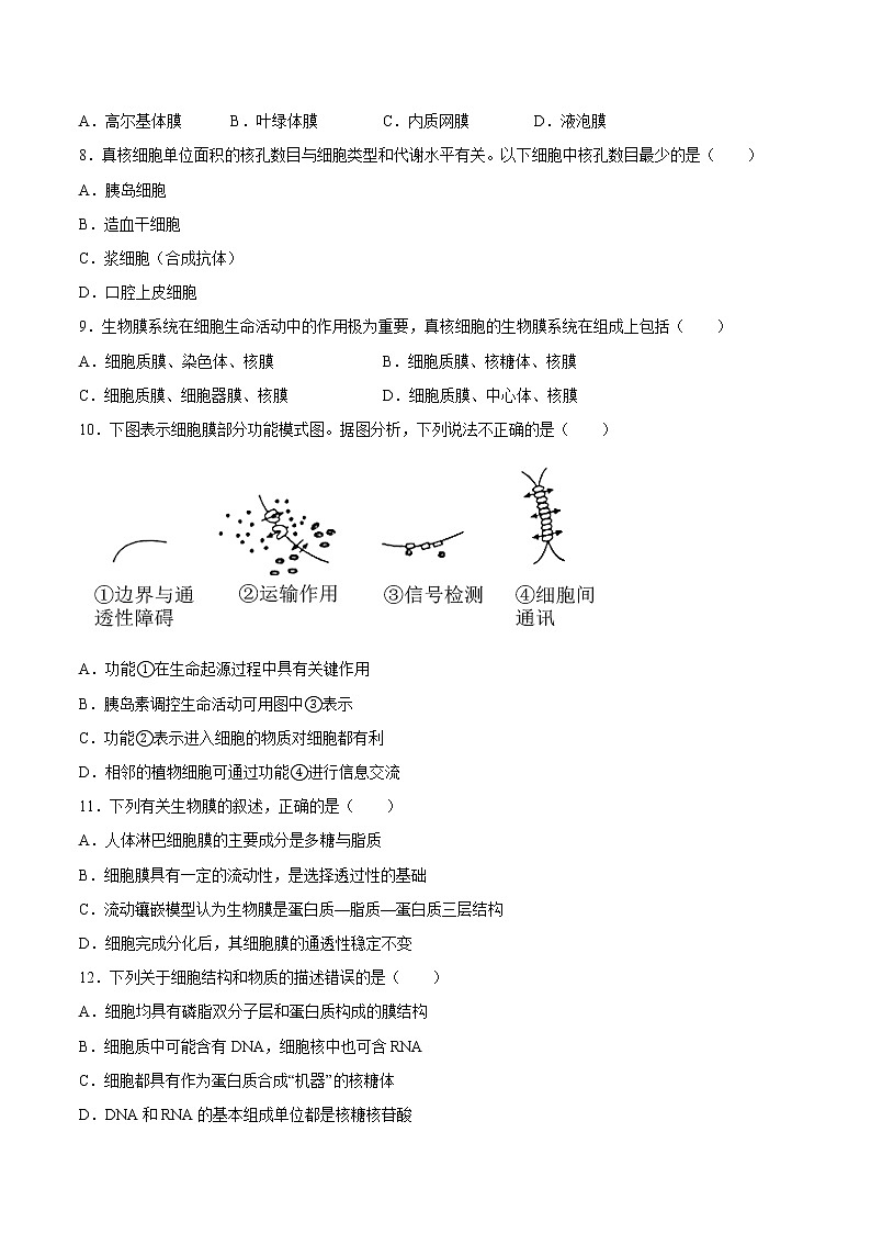 第三章  章末测试-高一生物课后培优练（人教版2019必修1）03