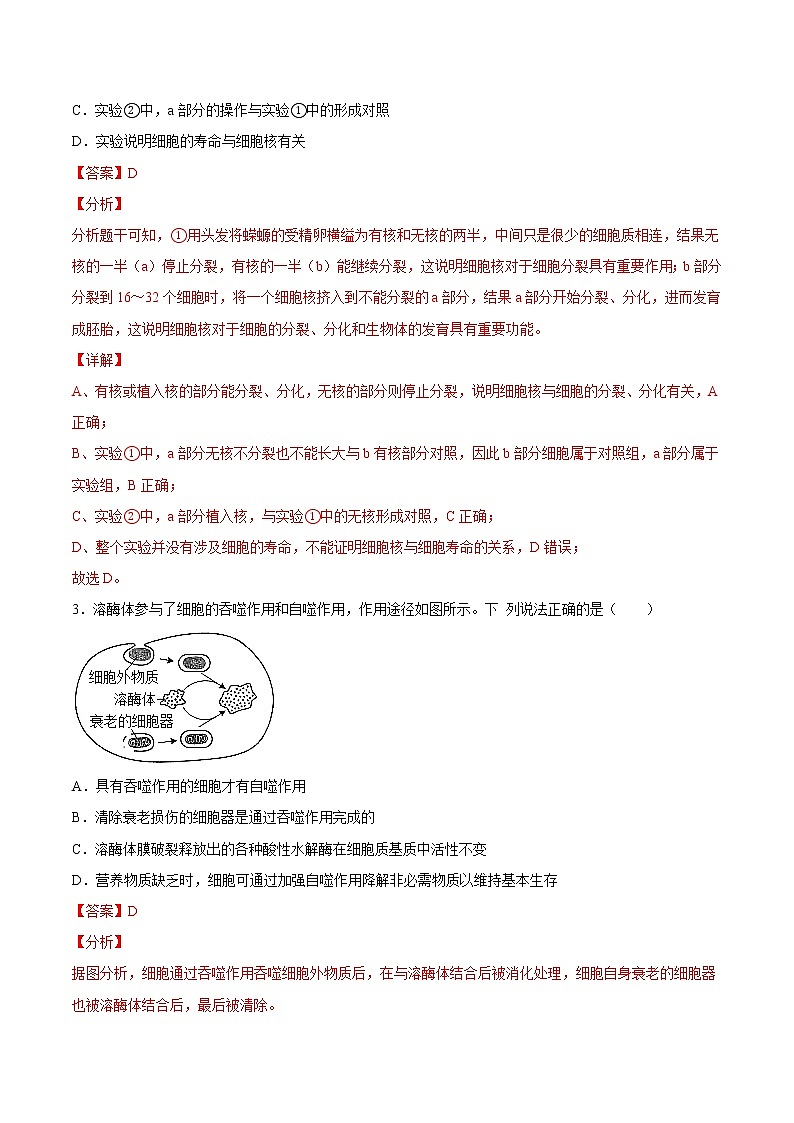 第三章  章末测试-高一生物课后培优练（人教版2019必修1）02