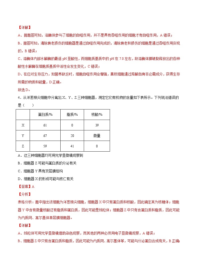 第三章  章末测试-高一生物课后培优练（人教版2019必修1）03