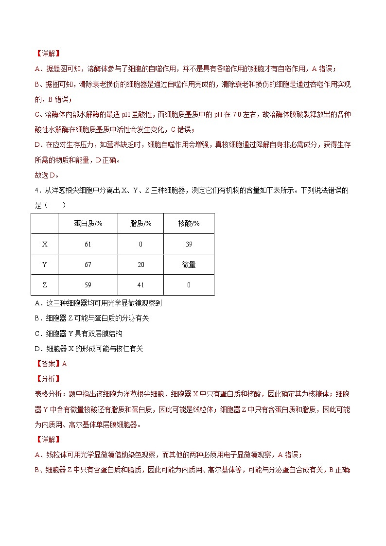 第三章  章末测试-高一生物课后培优练（人教版2019必修1）03