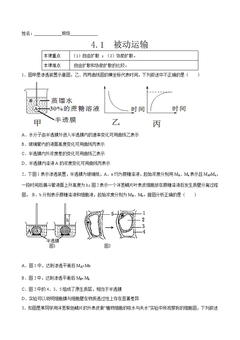 4.1  被动运输-2022-2023学年高一生物课后培优练（人教版2019必修1）（原卷版）第1页